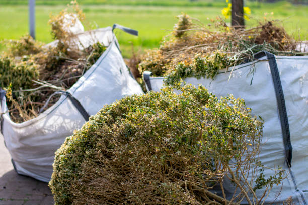 Best Same-Day Junk Removal Services  in Grass Lake, MI